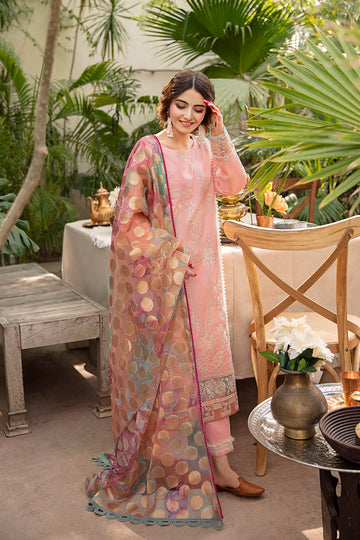 Rang Rasiya Chantilly Bari Eid Edition 2022 Online Shopping